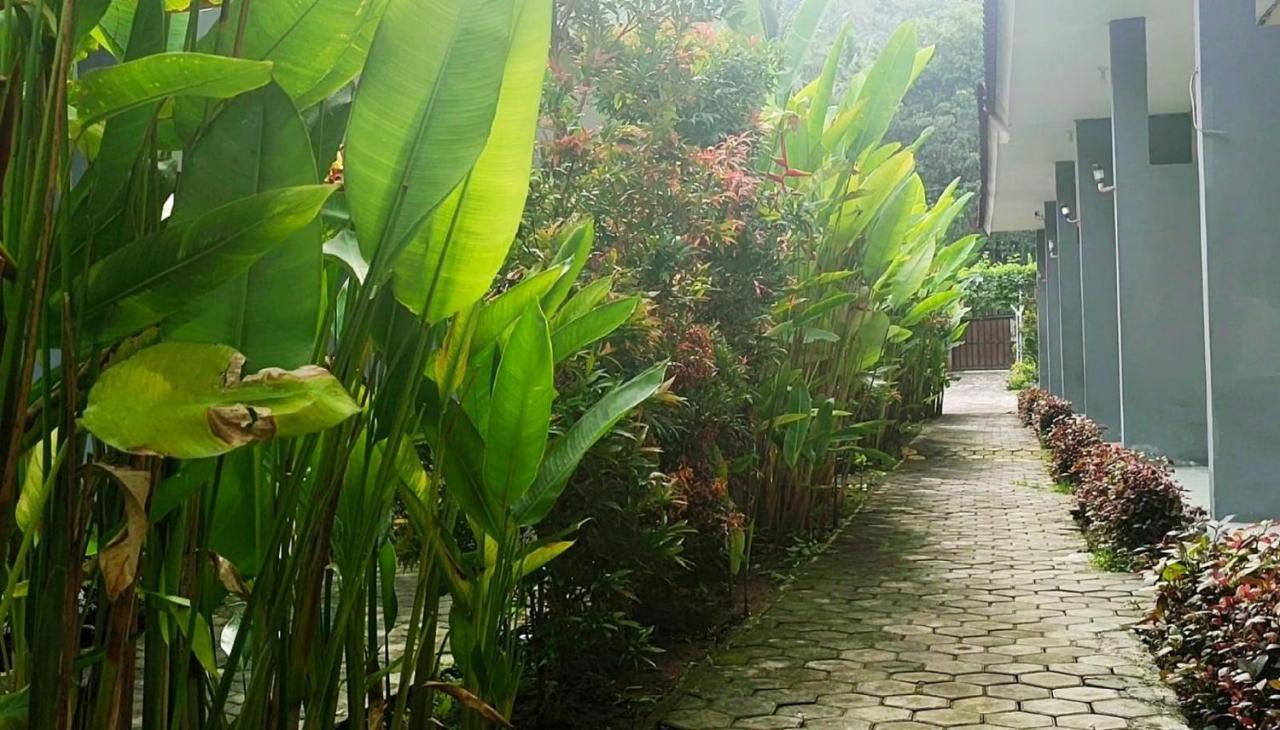 Oyo 2864 Mangsit Garden Homestay Exteriér fotografie